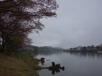 DSC05886
