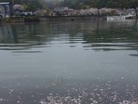 DSC05891