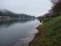 DSC05893