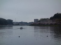 DSC05901