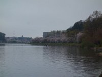 DSC05902