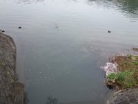 DSC05904