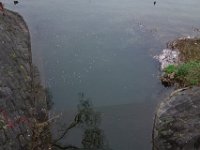 DSC05905