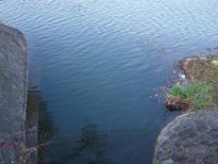 DSC05921