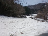 DSC05950