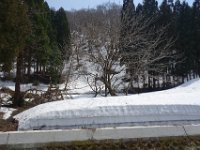 DSC05980