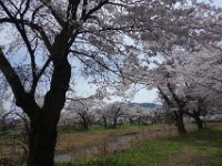 DSC05988