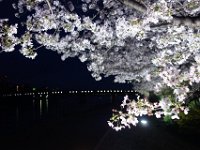 DSC05993