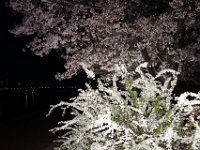 DSC05995