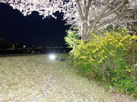 DSC05996