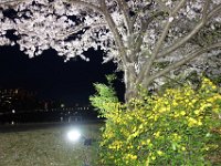 DSC05998
