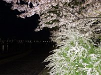 DSC05999