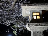 DSC06001