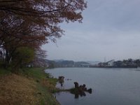 DSC06019