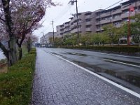 DSC06020