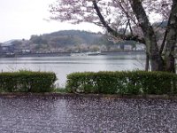 DSC06024