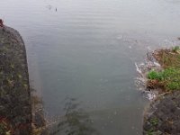DSC06037