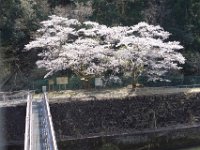 DSC06058