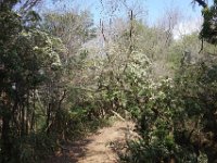 DSC06087