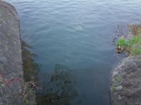 DSC06160