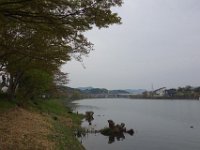DSC06220