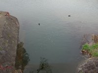 DSC06229