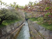 DSC06241