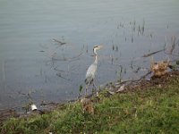 DSC06251