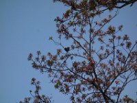 DSC06269