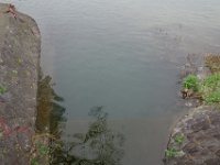 DSC06276