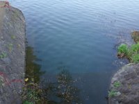 DSC06311