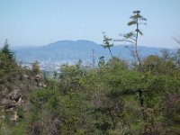 DSC06320