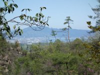 DSC06321