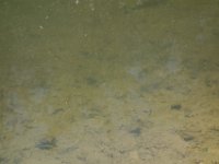 DSC06330