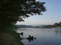 DSC06376