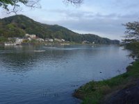 DSC06384