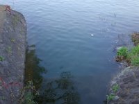 DSC06385