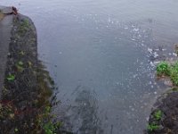 DSC06396