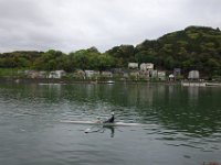 DSC06434