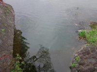 DSC06437