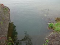 DSC06474