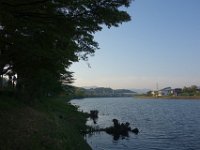 DSC06481