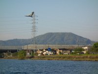 DSC06492