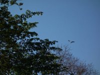 DSC06502