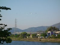 DSC06505