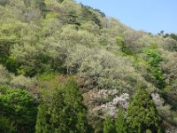 DSC06531