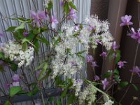 DSC06580