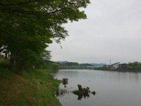 DSC06585