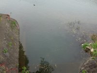 DSC06594