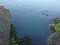 DSC06609